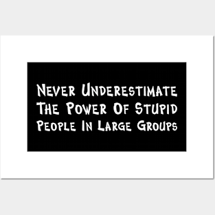 Never Underestimate The Power Of Stupid People Posters and Art